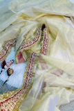 Golden Ivory Soft Net Saree with Heavy Banarasi Blouse