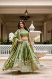 Green Premium Gold Crush Lehenga Choli Set