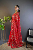 Red Heavy Butterfly Net Saree with Multicolor Embroidery & Foil Thread Work