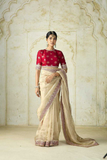 Golden Ivory Soft Net Saree with Heavy Banarasi Blouse