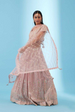 Blush Pink Faux Georgette Lehenga with Net Dupatta