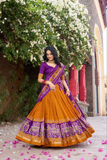 Flush Orange Tussar Silk Lehenga Choli with Kashmiri & Foil Print