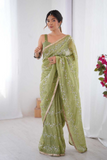 Green Glam Crush Saree with Moti & ZigZag Sequin Embroidery