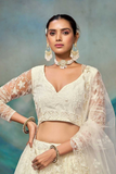 Ivory Butterfly Net Embroidered Lehenga Choli with Dupatta