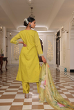 Olive Glow Cotton Silk 3-Piece Kurti Set with Jacquard Shimmer Dupatta
