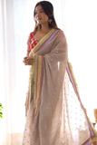 Premium Sequin Saree with Embroidered Border & Bangalori Silk Blouse