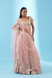 Blush Pink Faux Georgette Lehenga with Net Dupatta