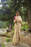 Elegant Zimmy Chu Embroidered Saree with Designer Blouse