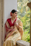 Golden Soft Desi Raw Silk Saree with Pochampally Ikkat Concept & Zari Weaving Border