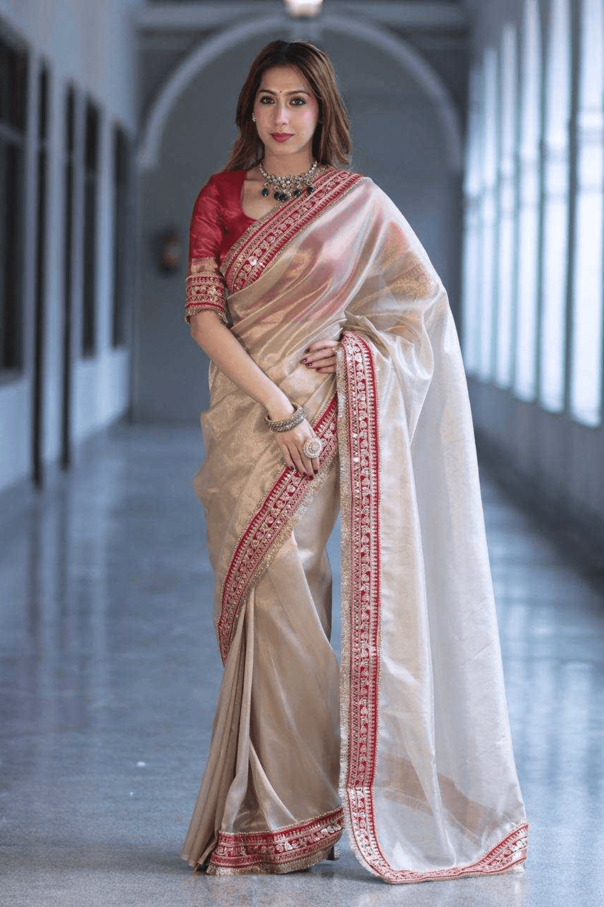 Pearl Royale Soft Twill Net Saree with Sequin Dori Embroidery & Fancy Lace Border - kavyo.in