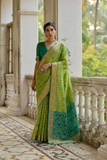 Green Soft Desi Raw Silk Saree with Pochampally Ikkat Concept & Zari Weaving Border