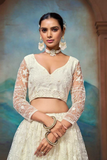Ivory Butterfly Net Embroidered Lehenga Choli with Dupatta