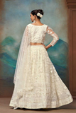 Ivory Butterfly Net Embroidered Lehenga Choli with Dupatta