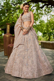 Light Pink Tissue Embroidered Bridal Lehenga Choli with Dupatta