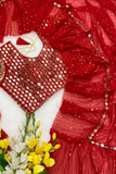 Crimson Maharani Mirror Work Saree