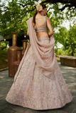 Light Pink Tissue Embroidered Bridal Lehenga Choli with Dupatta