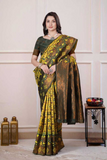 Patola Silk Saree with Elephant & Bird Motifs